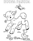 Agnello