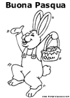 Coniglio Pasqua