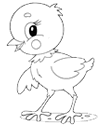 Disegni pulcini
