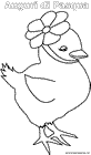 Pulcino Pasqua